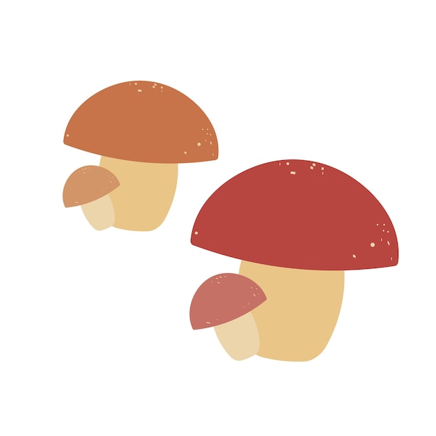 Vector autumn vector mushrooms