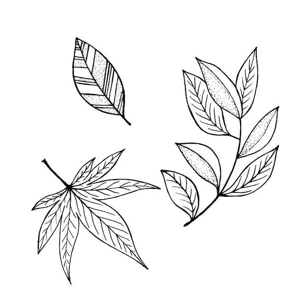 Vettore modello vettoriale autunnale disegnare a mano foglie autunnali sfondo concetto di foglie autunnali foglie autunnali diverse foglie astratte cornice autunnale foglie autunnali illustrazione vettoriale