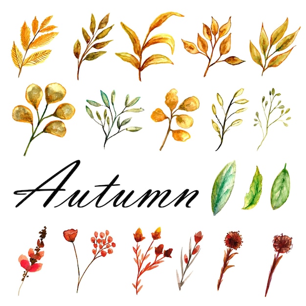 Autumn watercolor background set of yellow brown leaves and wild plant