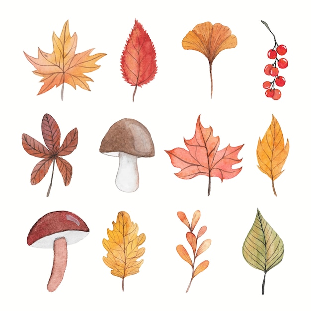 Autumn watercolor elements collection