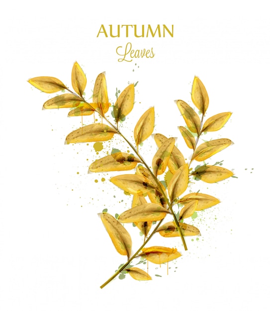 Vector autumn watercolor leaves