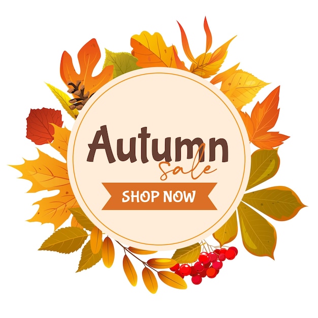 autumnal sale poster with falling leavesbranches pine cones berries isolated on white background