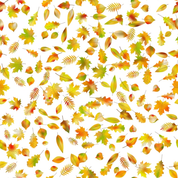 Autumnal seamless background. Fallen leaves.  