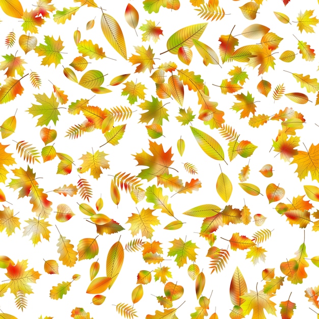 Autumnal seamless background.