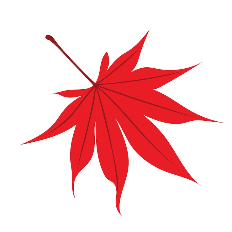 Vector autumnal5