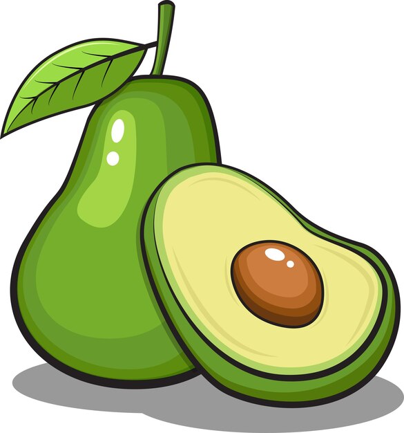 Vector avacado