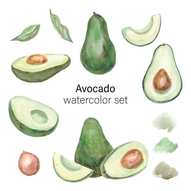 Avocado aquarel grote set gezonde voeding afbeelding collectie vector illustratie