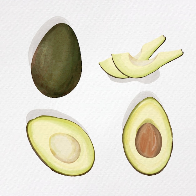 Avocado . aquarel papier textuur illustratie op witte achtergrond.