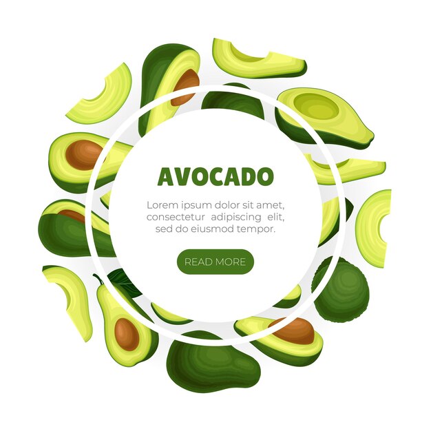 Banner e poster di avocado con modello vettoriale di frutta verde