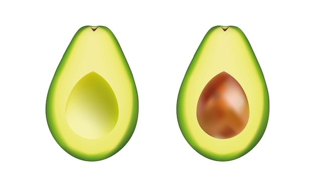 Avocado collectie geïsoleerd op wit vector illustratie