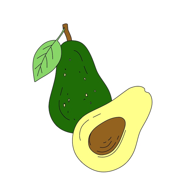 Vector avocado doodle vector kleur illustratie geïsoleerd op wit