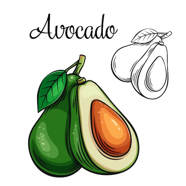 Icona di disegno di avocado