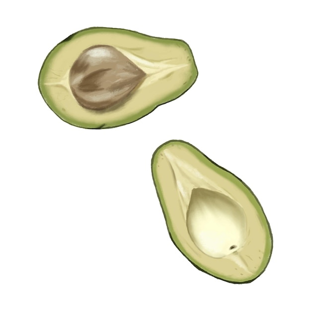 Avocado fashion illustration. Realistic avocado art. Instagram post