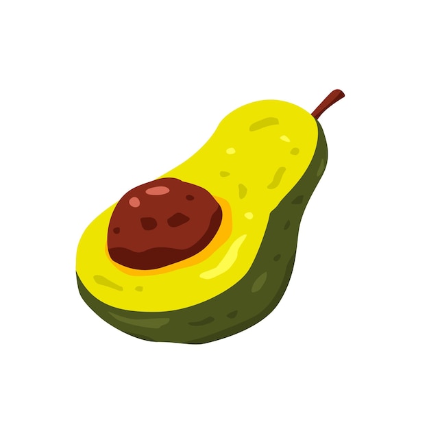 Vector avocado fruit cartoon vector illustration