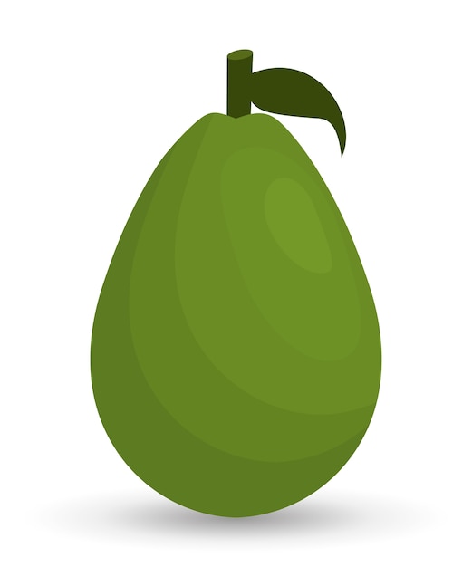 avocado fruit healthy organic food icon