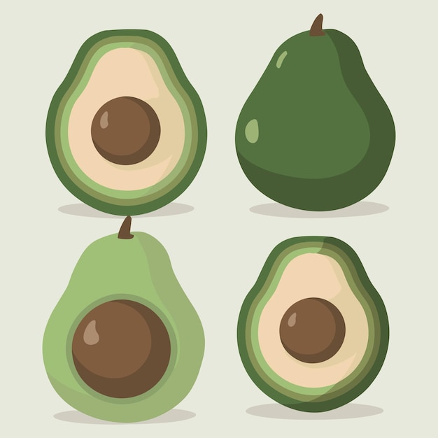 Avocado fruit icon set in flat style Avocado vector illustration