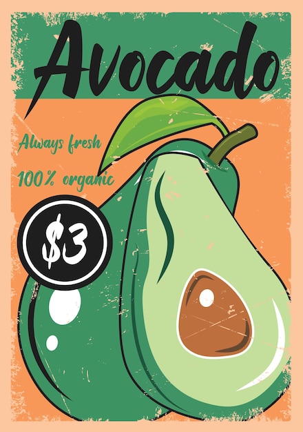 아보카도 과일 시장 광고 레트로 프로 모션 포스터 벡터
