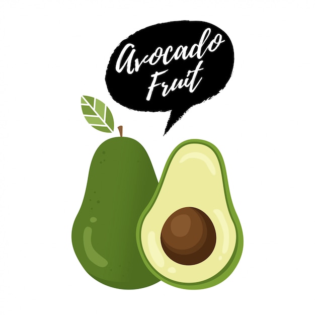 Avocado fruit vectorillustratie