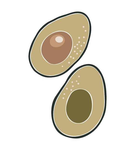Avocado fruit zomer fruit illustratie