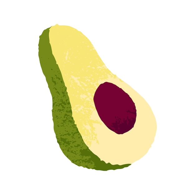 Avocado halve kern Gesneden fruit met pit Gezonde vegetarische groente doorsnede met zaad binnen Verse biologische voeding voeding Platte cartoon vectorillustratie geïsoleerd op witte achtergrond