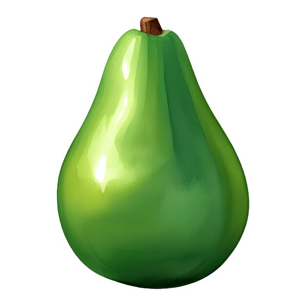 Изолированный вектор рисованной иллюстрации авокадо