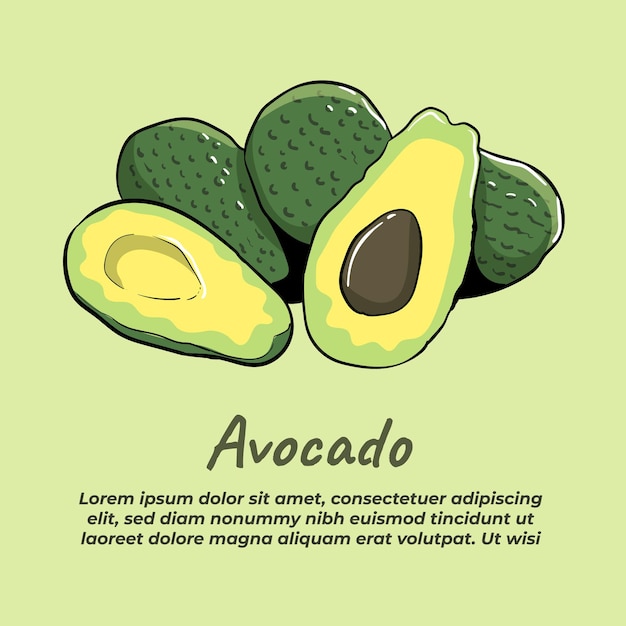 Avocado illustratie