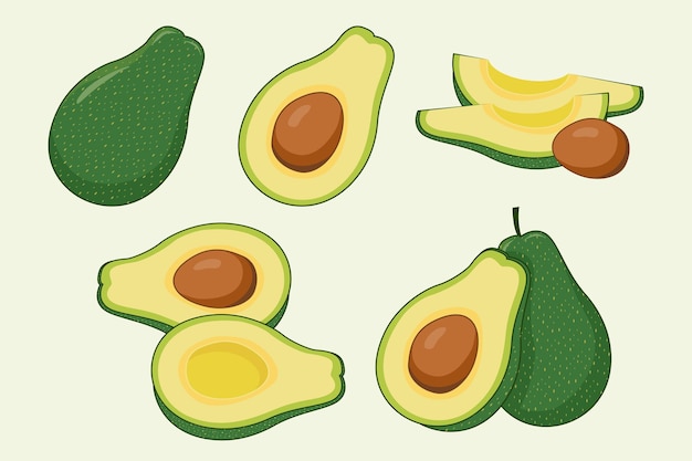 avocado illustration set