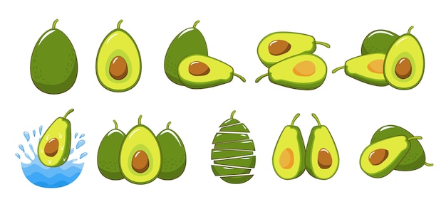 Avocado instellen collectie grafische clipart ontwerp