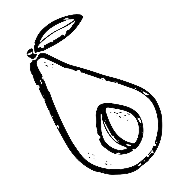 Avocado Lijnkunst Doodle textuur schets Handtekening Vector element