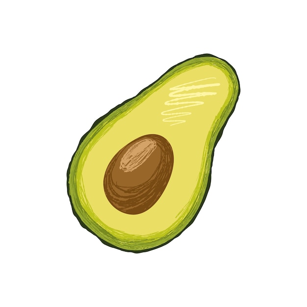 Avocado met zaad vector clipart. Traditioneel element van de Aziatische en Mexicaanse keuken.