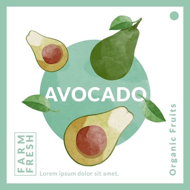 Modelli di progettazione dell'imballaggio dell'avocado illustrazione vettoriale in acquerello