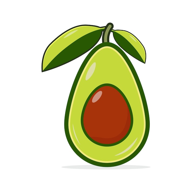 Avocado realistic whole healthy illustration isolated