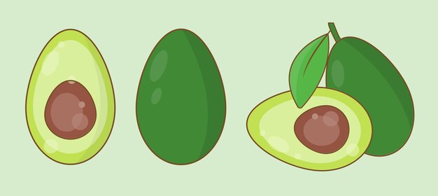 Avocado set bundel geïsoleerd op zachte groene achtergrond Vector illustratie