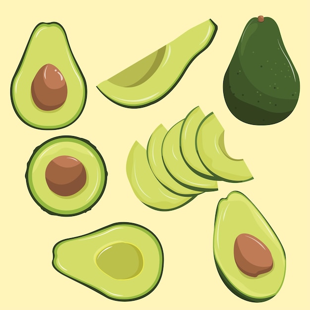 Vector avocado set design