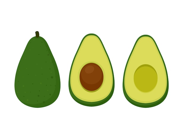 Avocado set of fresh whole and half avocado fresh and healthy food vector illustration