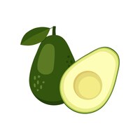 Vector avocado set whole halved tropical fruit vegan healthy nutritious food in flat detailed vector style