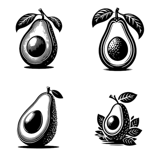 Vettore di silhouette di avocado caricabile modificabile