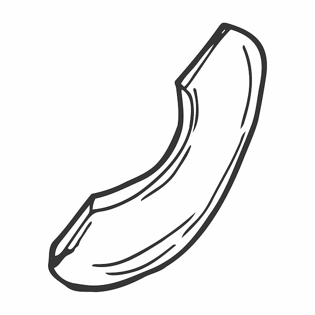 Векторная иконка ломтика авокадо Ручной рисунок спелых тропических фруктов Кусок очищенного свежего авокадо Вкусная здоровая еда садовые овощи наброски Монохромная иллюстрация, выделенная на белом