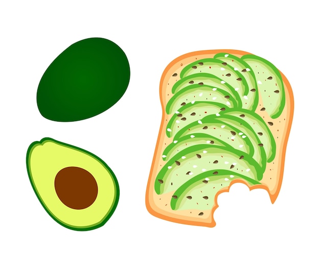 Vector avocado toast sliced avocado on toast bread with spices delicious avocado sandwich with sesame seeds