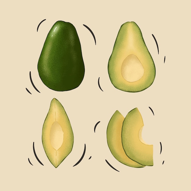 Vettore avocado vector art colore vintage