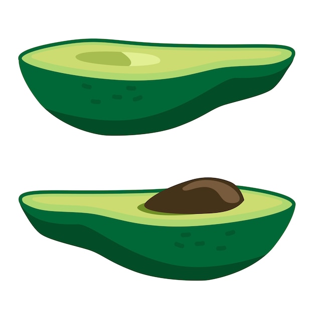 Vettore avocado clipart vettoriali mezzo avocado con e senza un nocciolo frutta fresca