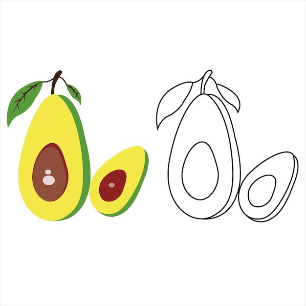 Vector avocado vector illustration cartoon art