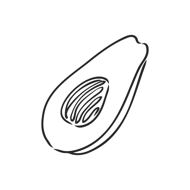 Avocado vector schets op een witte achtergrond Avocado Contour illustratie