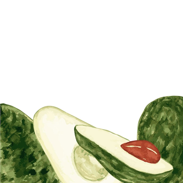 Vettore avocado acquerello modello di disegno per postcardson su sfondo bianco pianta tropicale