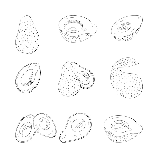 Avocado whole and cut outline illustrations set