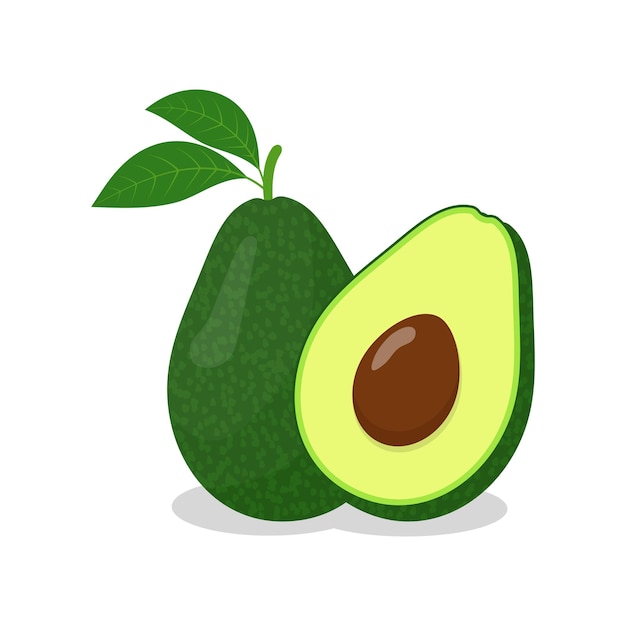 Avocado whole and half with pit vector illustration