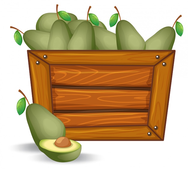 Vector avocado on the wooden board