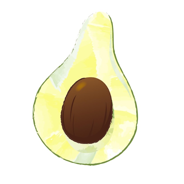 Vector avocado