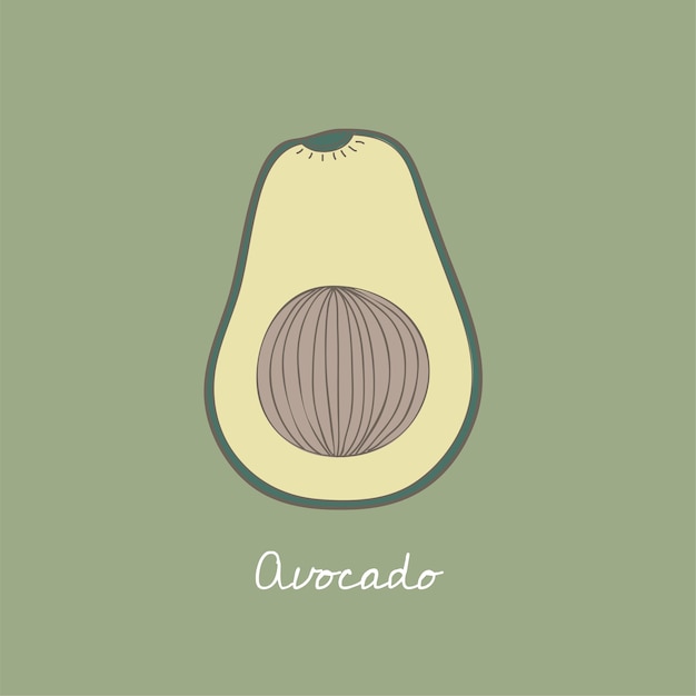 an avocado