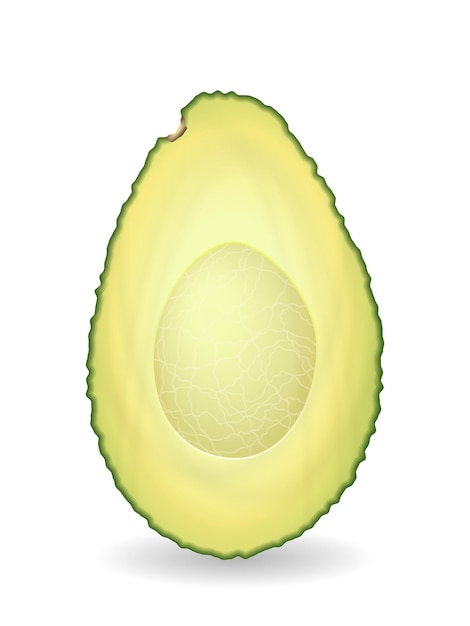 avocado